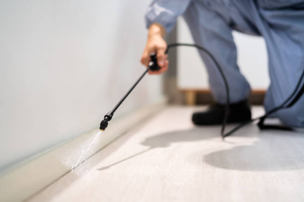 Licensed Termite Control service in Springfield, MI - Show Me Pest Control